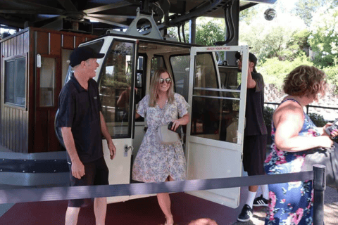 From San Francisco: Ultimate Napa Wine Country Experience