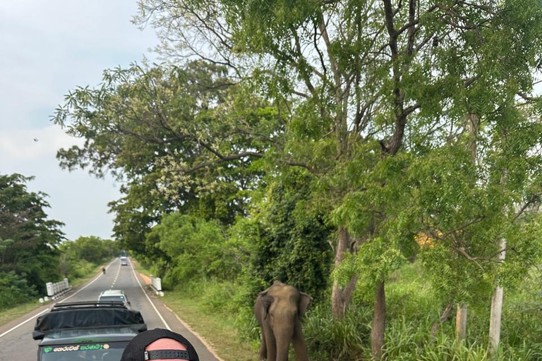 CMB/Negombo: Sigiriya, Kandy & Ella Private Tour with Driver Private Van with Driver – Up to 50 km