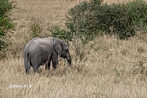 Da Nairobi; tour privato di Amboseli di 2 giorni e 1 notte