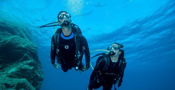 Madeira: Ponta de São Lourenço Shore Dive (certified divers)