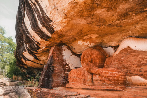 Sigiriya: Pidurangala Rock Hike & Minneriya Jeep Safari