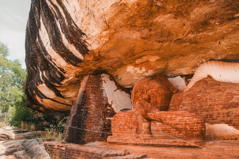 Sigiriya: Pidurangala Rock Hike & Minneriya Jeep Safari