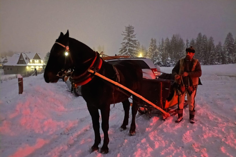 Krakow: Zakopane Snowmobile & Kulig Day Trip with Dinner