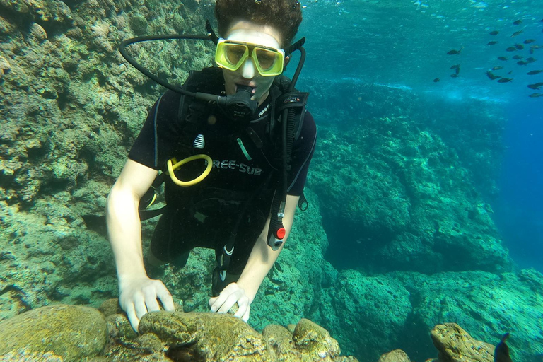 Side Underwater Museum Diving Adventure Side: Guided Scuba Diving Experience with Two Boat Dives