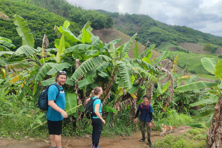 Chiang Rai: Jungle Adventure-Group Trekking & Bamboo Cooking