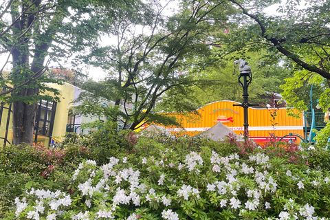 Tokyo: Kichijoji Walking Tour & Famous Anime Museum Ticket