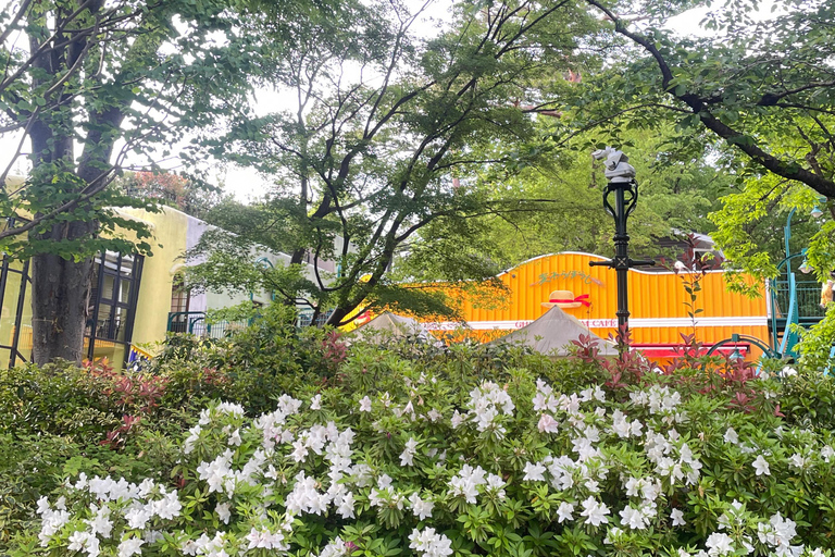 Tokyo: Kichijoji Walking Tour & Famous Anime Museum Ticket