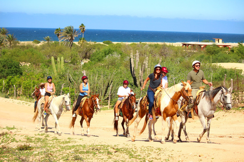 Cabo San Lucas: Reiten in Migriño mit Transfers