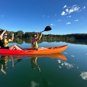 Jervis Bay: 3 Hour Guided Kayak Tour with Morning Tea