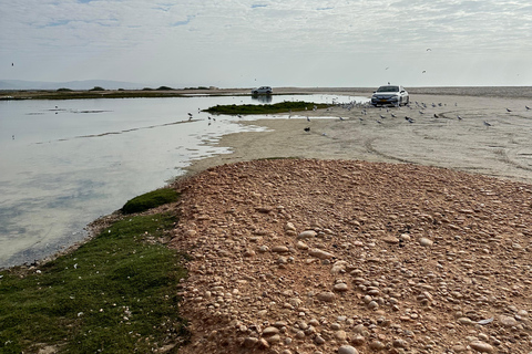 Salalah: Wadi Derbat, Jabal Samhan y Sink Hole Tour Privado