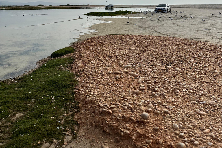 Salalah: Wadi Derbat, Jabal Samhan i Sink Hole - wycieczka prywatna