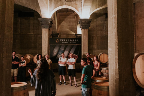 Logroño: guided tour + tasting of 3 wines at Viña Ijalba Logroño: Guided tour + tasting of 3 wines at Viña Ijalba