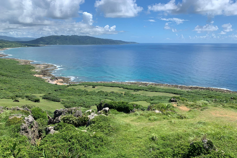 Z Kaohsiung: Kenting i wybrzeże oceanu - prywatna jednodniowa wycieczka