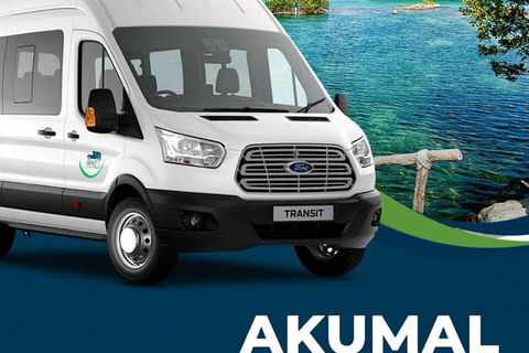 Cancun Airport: Round-Trip or One-Way Transfer to Akumal One-Way Akumal Transfer to Cancún Airport