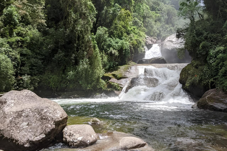 Teresópolis : circuit découverte de la faune de la forêt atlantiqueTeresópolis : Excursion à la découverte de la faune de la forêt atlantique