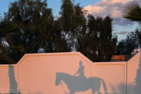 Djerba: Horseback Riding Adventure with Transfer