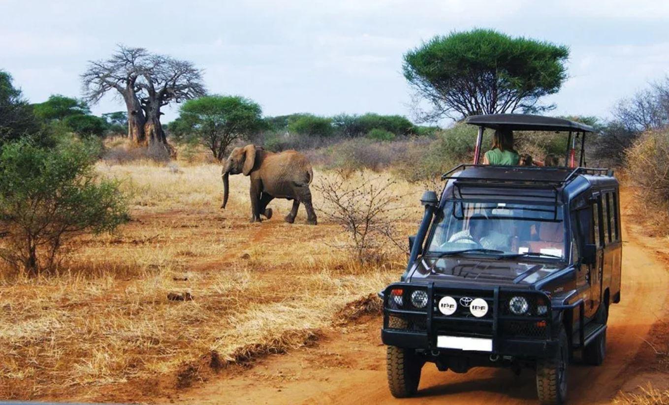 Krüger National Park & Blyde River Canyon 4 Tage Safari