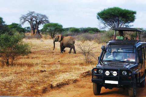 South Africa: 7-Day Cape Town, Johannesburg, and Kruger Tour