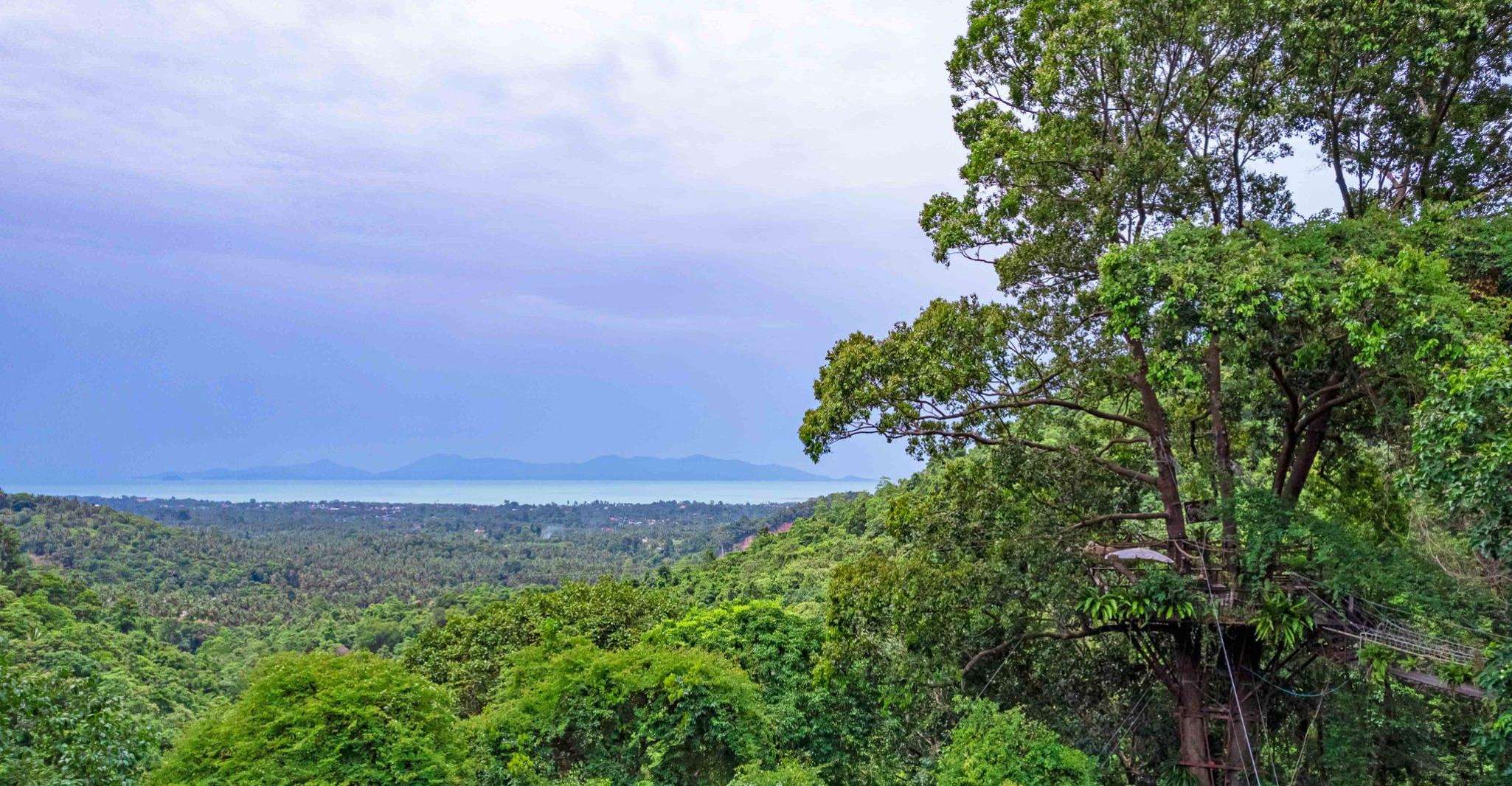 Von Koh Samui, Tree Bridge Zipline und Café Experience - Hizvo