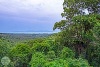 From Koh Samui, Tree Bridge Zipline and Café Experience - Hizvo