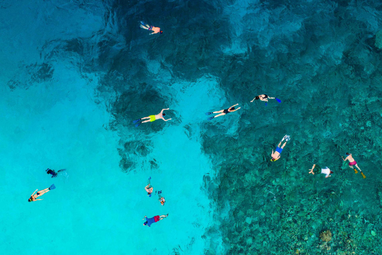 Ko Lanta: Snorkeling Adventure Tour to Koh Rok and Koh Haa Snorkeling Adventure with pickup in Ko Lanta