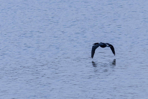 Bangalore: Agara Lake Walking Tour with Coffee