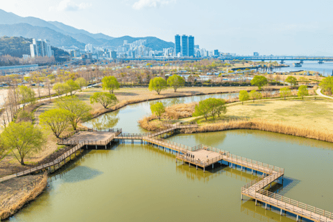 Busan : Local Market & Picnic with Riverside Cycling Tour Meeting Point 1 : Gupo Station