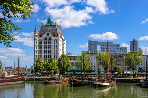 Rotterdam: Guided Walking Tour