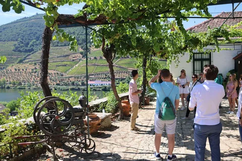 Porto: DOURO VALLEY and AMARANTE City Half-day Tour