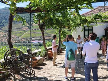 Porto: TOUR DI MEZZA GIORNATA NELLA VALLE DEL DOURO