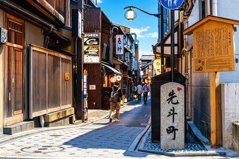 Osaka: Kiyomizu, Fushimi Inari, Nara & Gion Private Sightseeing Tours