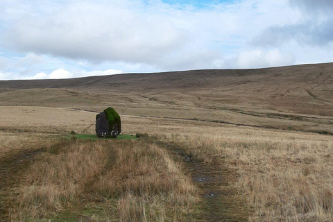 Cardiff: Brecon Beacons &amp; Waterfall Country Private VoyageCardiff: Private Brecon Beacons &amp; Waterfall Country Tour