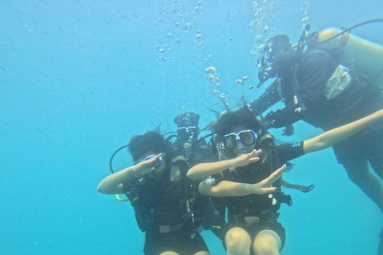 Mirissa Whale Watching, Turtle Snorkeling &Coconut Hill Tour Private Tour from Colombo, Negombo or Mount Lavinia