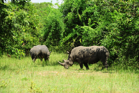 Kampala: 2-Day Murchison Falls Safari with Rhino Trek