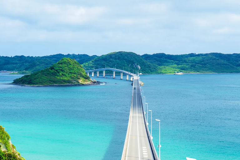North Kyushu Tour: Akiyoshido Cave & Motonosumi Inari Shrine North Kyushu Tour: Akiyoshido Cave, Motonosumi Inari Shrrine
