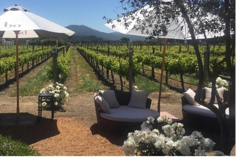 Discover Valparaiso, visit the Garden City, and enjoy wine tasting in Casablanca Get to know Valparaiso, visit the Garden City, and enjoy a wine tasting in Casablanca