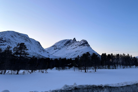 Narvik/Harstad : Excursion d&#039;une journée dans les Fjords avec arrêt à la ferme des rennes