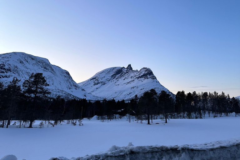 Narvik/Harstad : Excursion d&#039;une journée dans les Fjords avec arrêt à la ferme des rennes