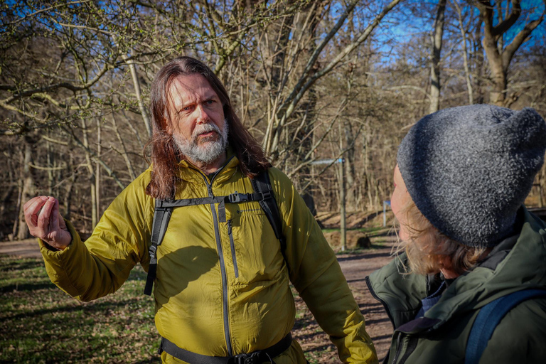 Lund: Dalby Söderskog National Park Guided Hike with Lunch