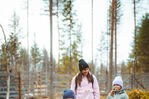 Rovaniemi: Meet and Feed Reindeer