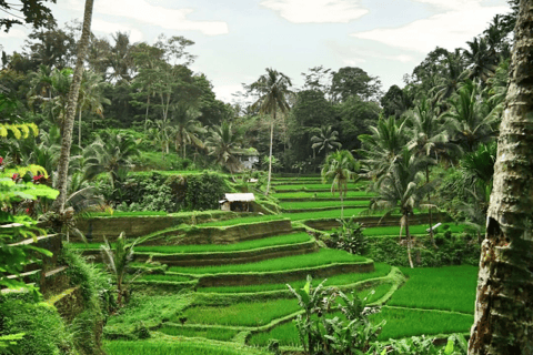 Bali: Explore North Bali Customized Private Day Tour North Bali Trip B