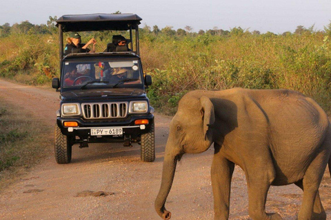 斯里兰卡：7天野生动物之旅和生态之旅（含酒店）斯里兰卡：7 天野生动物之旅和生态之旅（含酒店）