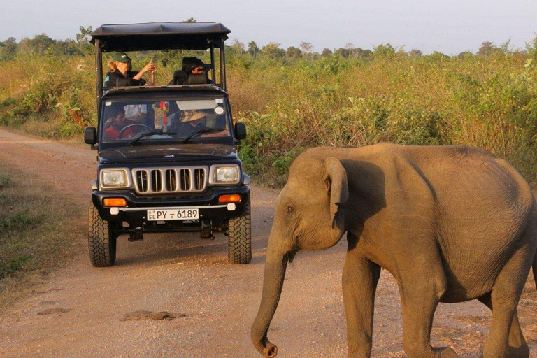 斯里兰卡：7天野生动物之旅和生态之旅（含酒店）斯里兰卡：7 天野生动物之旅和生态之旅（含酒店）