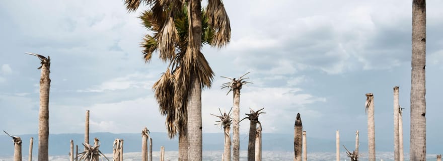 Visite privée en bateau du lac Enriquillo et découverte de la faune