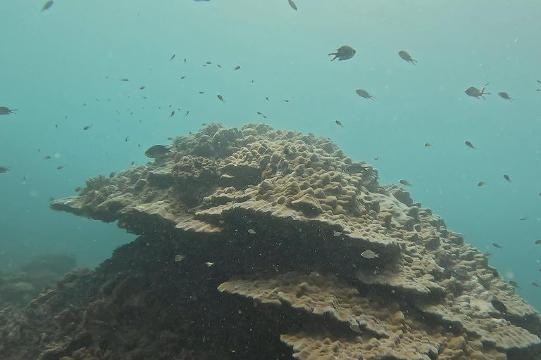 DAR ES SALAAM: CERTIFIED SCUBA DIVERS FUN TRIP