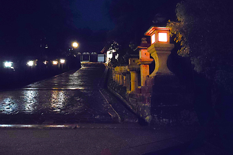 Nara: descubre la belleza atemporal en un tranquilo paseo nocturno.Nara: descubre la belleza atemporal en un tranquilo paseo nocturno