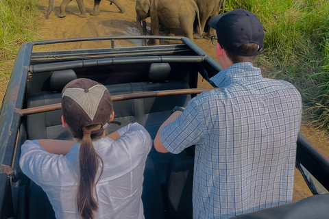 Sigiriya: Ethical Hurulu Elephant Safari With Guide Ethical Elephant Safari Without Entrance Ticket