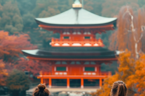 Kyoto: Private Tour with English Guide Pickup And Drop Off