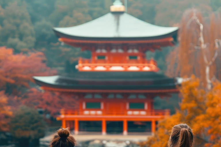 Kyoto: Private Tour with English Guide Pickup And Drop Off