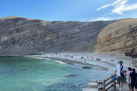 VANUIT LIMA: HELE DAG PARACAS - ICA